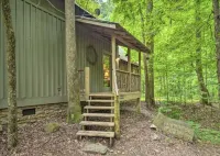 Falls View Cabin at Dennis Mill on designated trout stream.