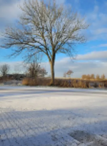 Apartment "Soeven" at the Anelis farm