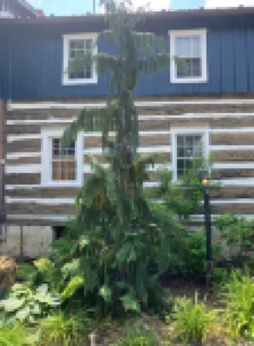 Lost Dutchman Mountain Retreat - Main House