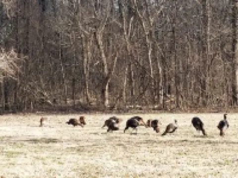 Charming Retreat near Historic Newburgh, Evansville and Henderson Kentucky.