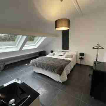 Large 14 Pers villa with heated pool 200 m from the sea Rooms