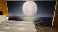 The Leelanau Sleeps 4 Fiber Optic WI-FIClose to Traverse City Crystal Mountain