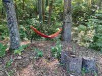 Sticks & Twine great cabin on a working farm on Paris Mountain close to it all