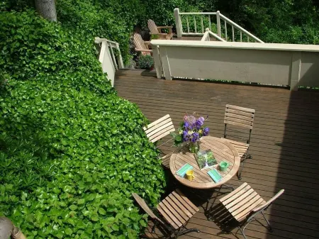 Downtown Port Townsend - Hillside Penthouse Vacation Rental Отели рядом с достопримечательностью «Port Townsend Marine Science Center»