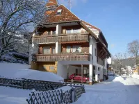 Lenzkirch - very cozy apartment - south-facing balcony - centrally in a quiet side street Hotels in Lenzkirch