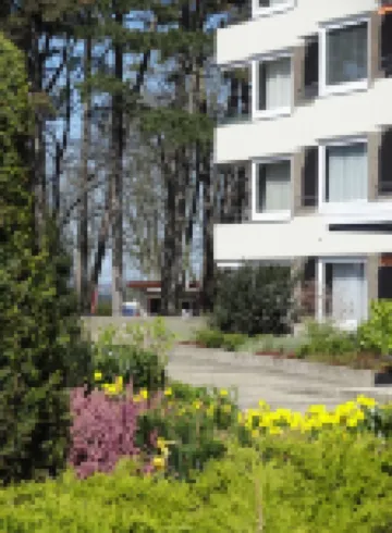 Comfortable apartment with pool and sauna 200m from the beach