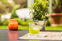 Best Western Plus Delta Park Hotel - bar