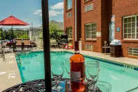 ميكروتل إن آند سويتس باي ويندام ستوكبريدج / أتلانتا 1-75 فنادق في ستوكبريدج