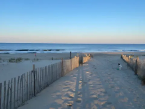 LOCATION! pet friendly! Oceanfront building! Free Parking! Walk everywhere!!