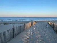 LOCATION! pet friendly! Oceanfront building! Free Parking! Walk everywhere!!