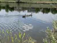 Denver to Boulder Rocky Mountain Colorado Home Hotels in Thornton