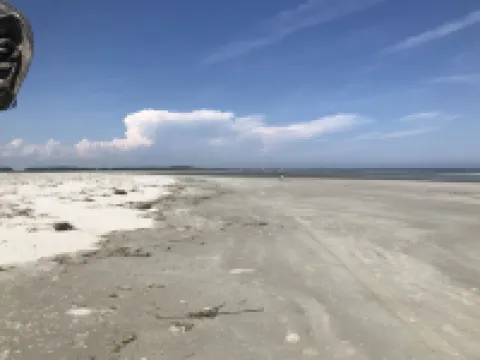Gated Secluded Marsh View