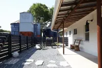 Horse Lodging! Private Guesthouse + Vintage Airstream - Covered Stalls/ Turnouts