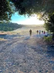 Mountain view/Ranch/orchard