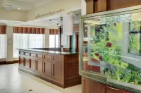 Hilton Garden Inn Toronto/Burlington - Hot Tub