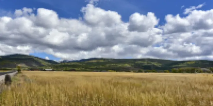 Fox Creek cabin in the woods