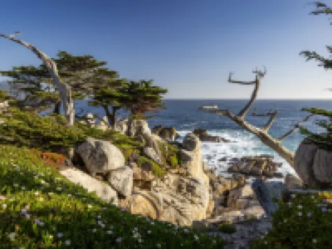 Home2 Suites by Hilton at the Dunes on Monterey Bay Hotels in Marina