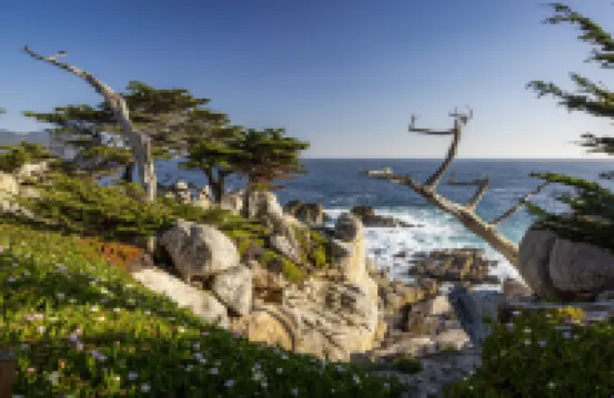 Home2 Suites by Hilton at the Dunes on Monterey Bay