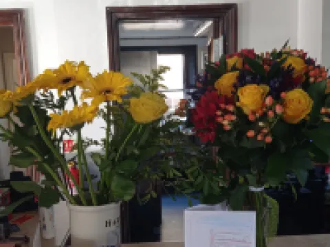 Castle Inn Hotels in Hythe