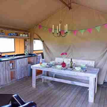 Carr's Hill Luxury Safari Tents Rooms