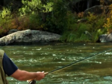 パインズ アット メドウ リッジ フレイザーのホテル