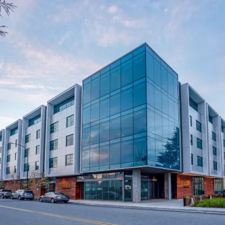 Shashi Hotel Mountain View Palo Alto