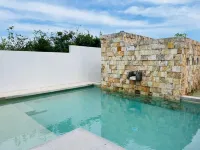 La Diosa Condos penthouse w plunge pool
