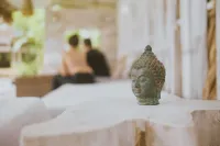 Sonora Jungle & Yoga Retreat - spa
