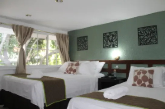 Hotel Tazumal House Hotels in 