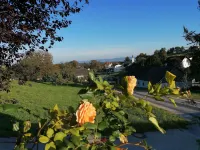 Apartment in Oed-Öhling Near Danube River Hotels in Perg