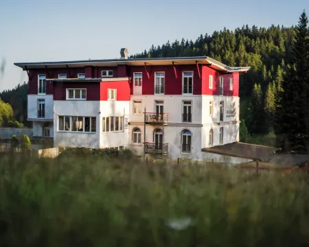 Das Waldhotel - Genuss & Wellness am Notschreipass Hotels in Todtnau