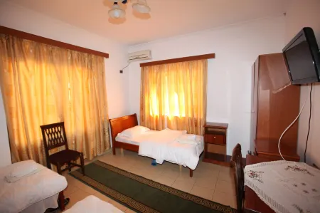 The River Hotel Отели в г. Тепелена