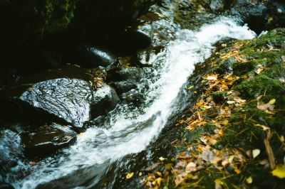 ホテル周辺 白神山地　ホテルゆとりあ藤里の写真