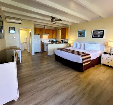 엘 테라도 테라스