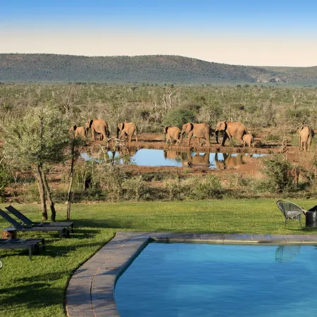 Madikwe Safari Lodge