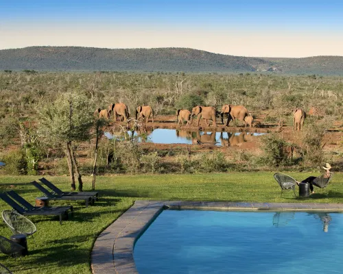 Madikwe Safari Lodge Hotels in Zeerust