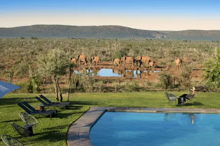 Madikwe Safari Lodge