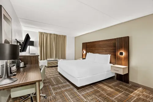 Sonesta Essential Orlando Hotels in Orange County