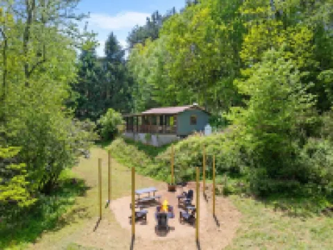Creekside Vibes - 1 Bedroom Cozy Cabin w/ Outdoor Fire Pit + Pet Friendly! Hotels in Laurel Fork