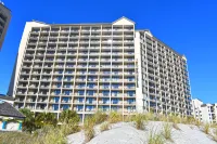 Beachfront Condo, Stunning Pools and Scenic Views! Hotels near T.I.G.E.R.S. Preservation Station