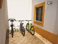 UA 25- Pine Villa - Homestays