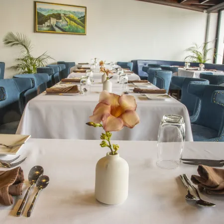 Sago Palm Hotel