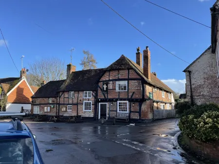 The Plume of Feathers