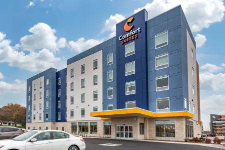 Comfort Suites Cottage Grove-Madison Отели в г. Лейк Милс