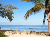 Conch Key Fishing Lodge & Marina Hoteles en Duck Key