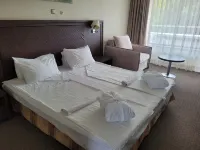 Sana Spa Hotel Hotel a 