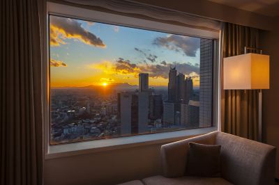 ホテルからの眺望 小田急ホテルセンチュリーサザンタワーの写真