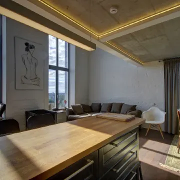 Loft 65 Panoramic View