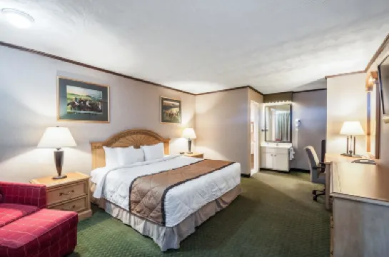 Rodeway Inn & Suites Hotels in 