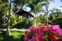 Sunset at the Palms Resort - Adults Only - All Inclusive